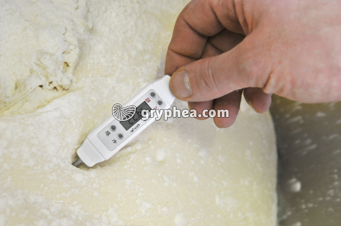 Fabrication du pain - Mesure de la température de la pâte à pain - gryphea.com